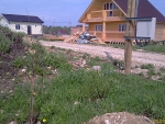 Крыжовник 2013